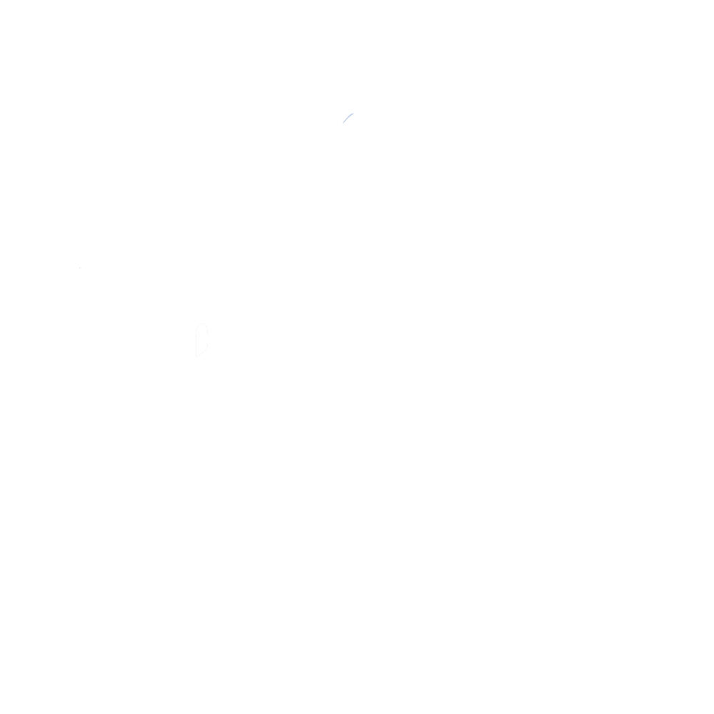Logo Bleu Social